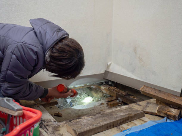 Dehumidification Services in Buena Vista, GA