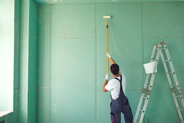 Professional Mold Removal in Buena Vista, GA