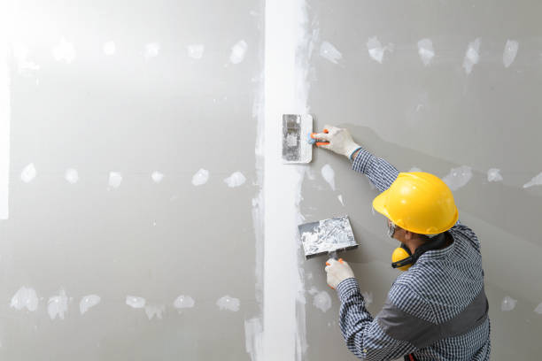 Mold Remediation for Vacation Homes in Buena Vista, GA