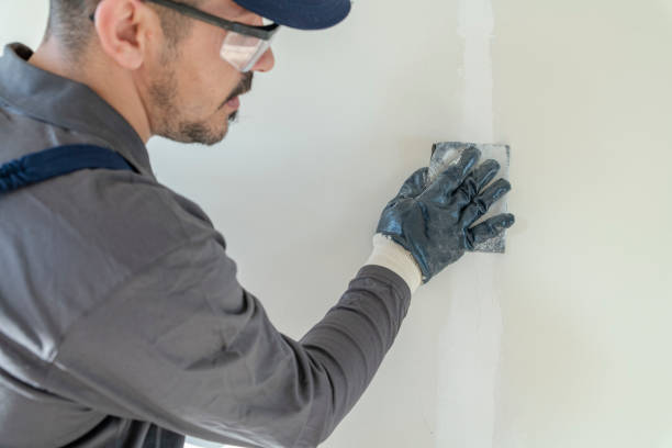 Best Mold Odor Removal Services  in Buena Vista, GA