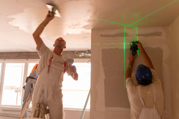 Best Attic Mold Removal  in Buena Vista, GA