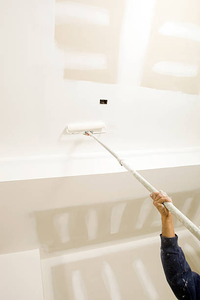 Best Emergency Mold Remediation  in Buena Vista, GA