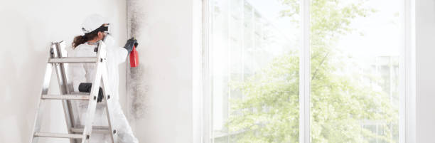 Best Mold-Related Health Consultation  in Buena Vista, GA