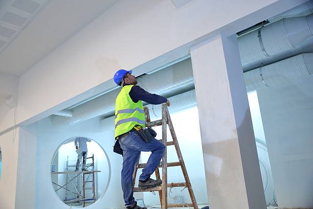 Best Mold Remediation for Healthcare Facilities  in Buena Vista, GA