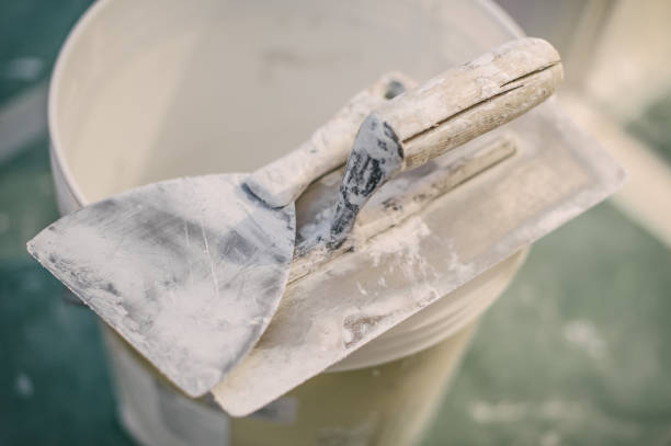 Best Mold Prevention Services  in Buena Vista, GA